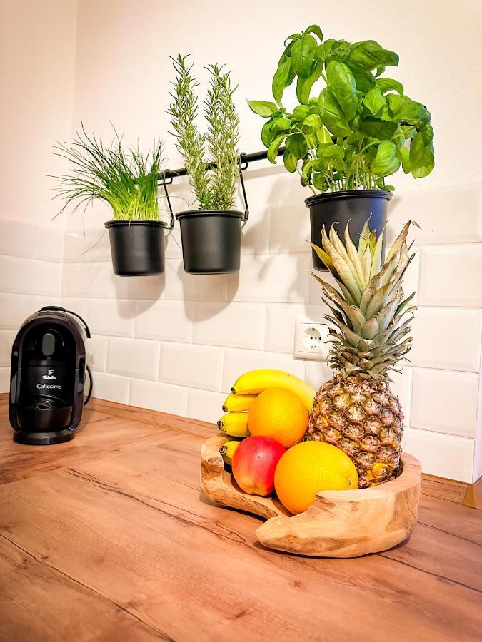 Schoenes Modernes Einfamilienhaus Fuer 1 Bis 6 Personen Rimpar Exterior photo